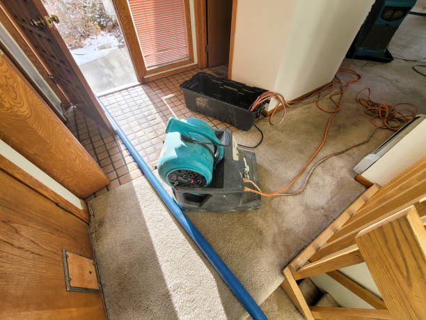 Best 24-hour water damage restoration  in Uhrichsville, OH