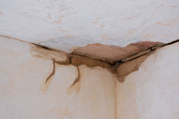  Uhrichsville, OH Water damage restoration Pros