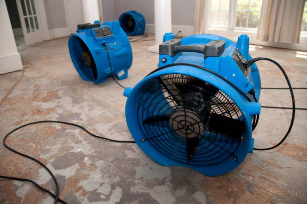 Best Basement water damage restoration  in Uhrichsville, OH