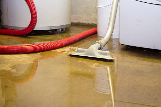 Best Water damage contractors near me  in Uhrichsville, OH