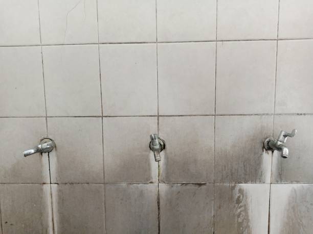 Best Mold removal after water damage  in Uhrichsville, OH