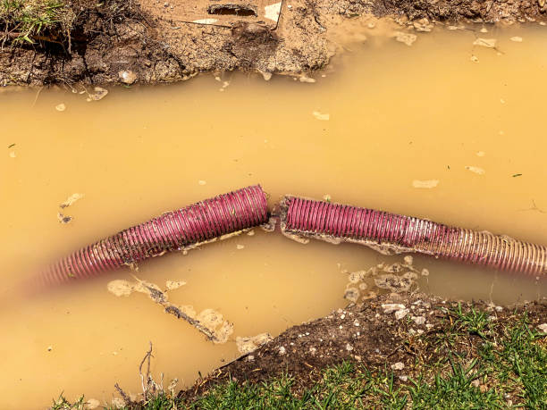 Best Water damage cleanup near me  in Uhrichsville, OH
